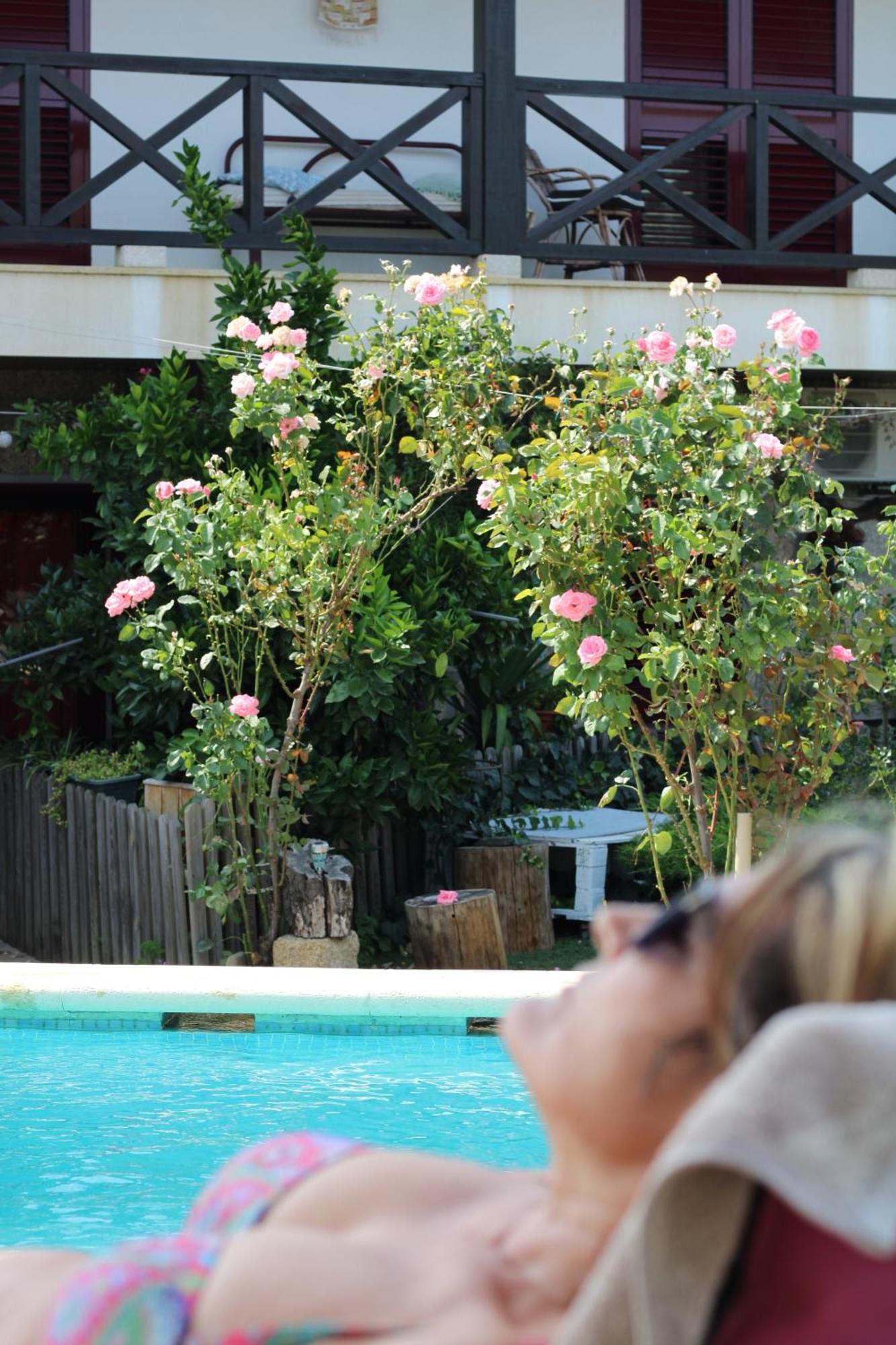 Casa Da Aldeia Da Avo Bed & Breakfast Valpaços Eksteriør bilde