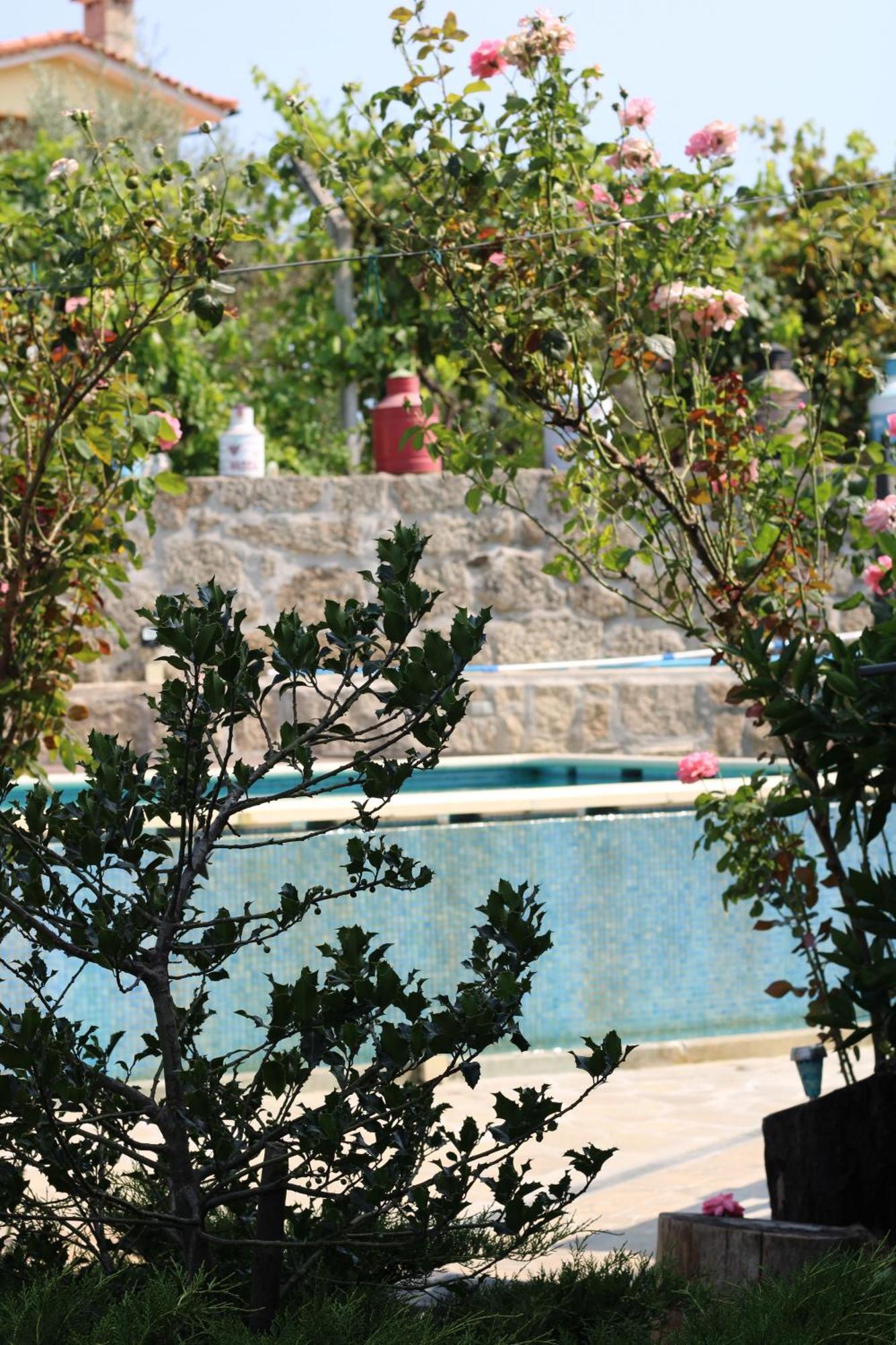 Casa Da Aldeia Da Avo Bed & Breakfast Valpaços Eksteriør bilde